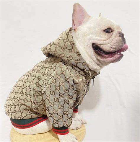 dog gucci clothing|designer clothes for small dogs.